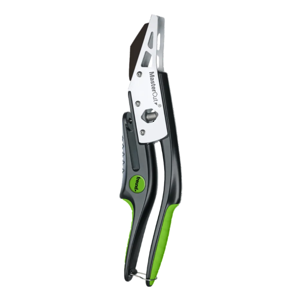 schieferschere mastercut